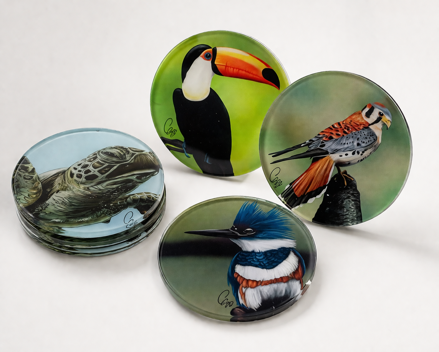 4 Posavasos Fauna