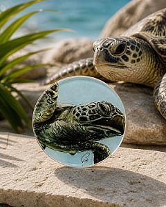 4 Posavasos Fauna